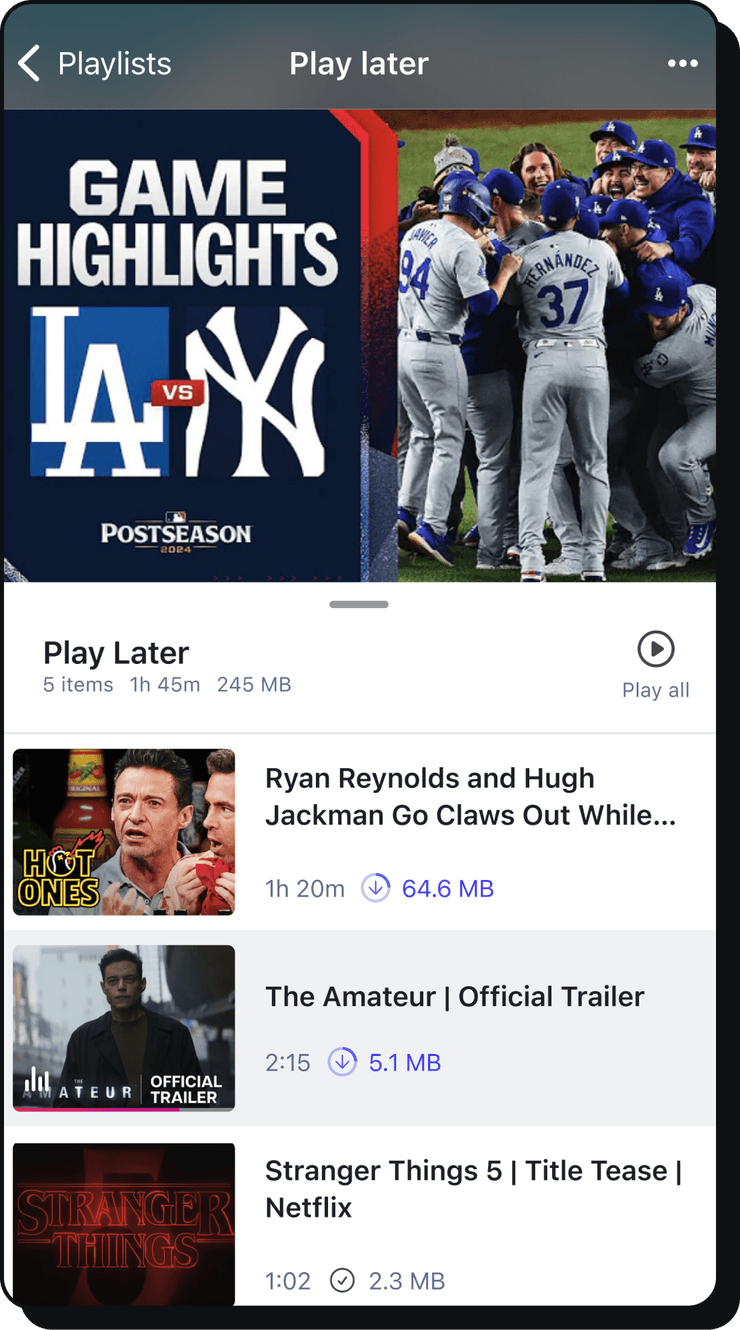 Brave Playlist mobile screenshot