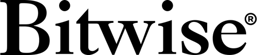 %s logoBitwise