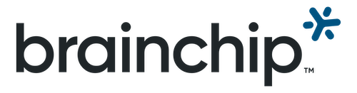%s logoBrainChip