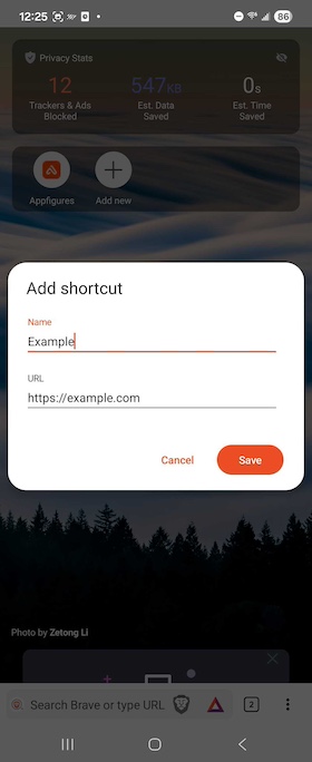 Pin websites on Android