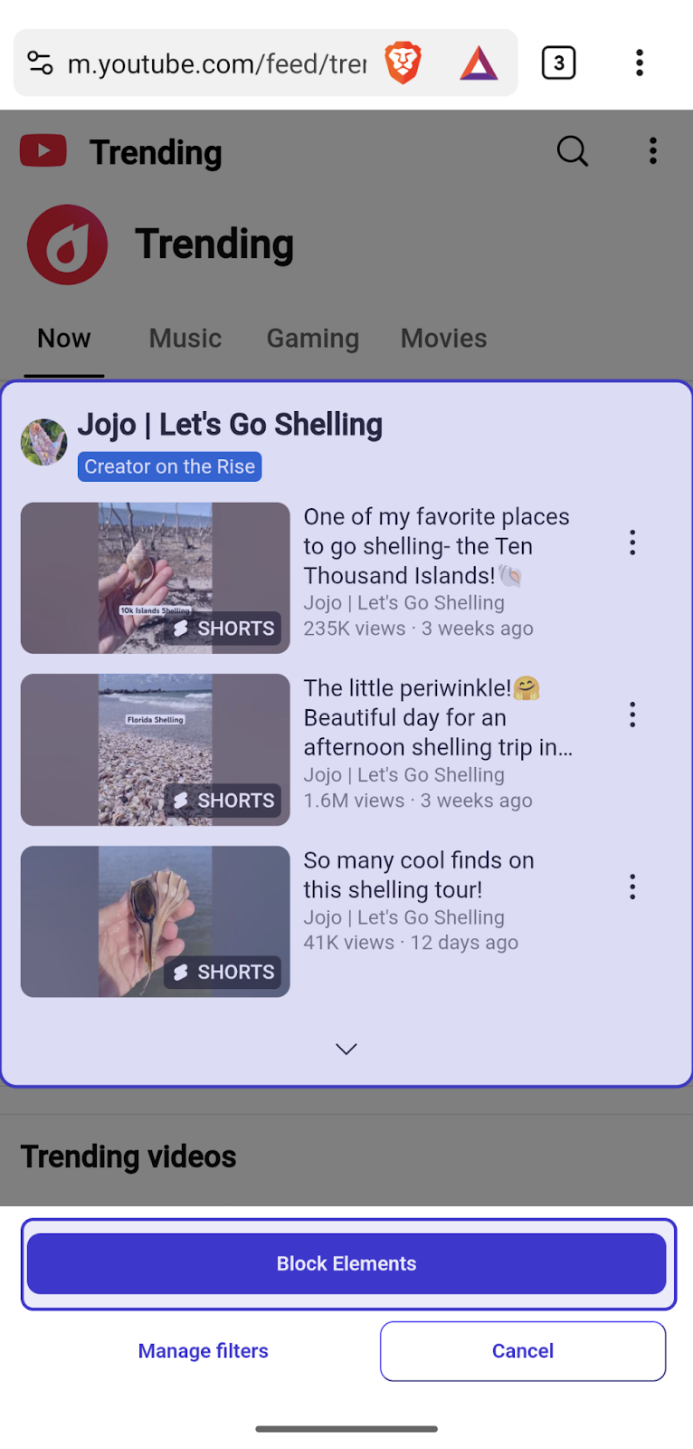 Block unwanted page elements